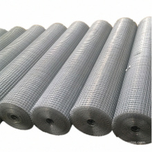 China Manufacturer 1/4" X 1/4" Mesh Welded Wire Mesh